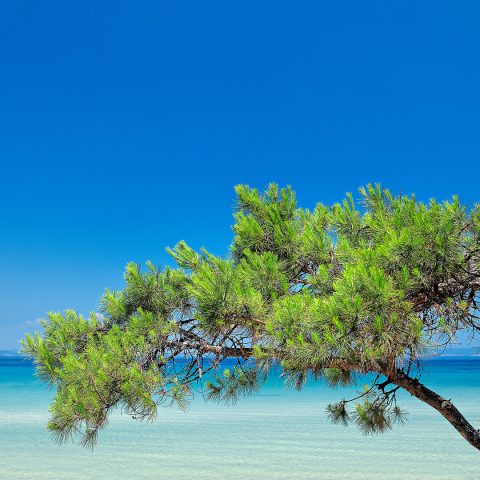 Peninsulas of Halkidiki