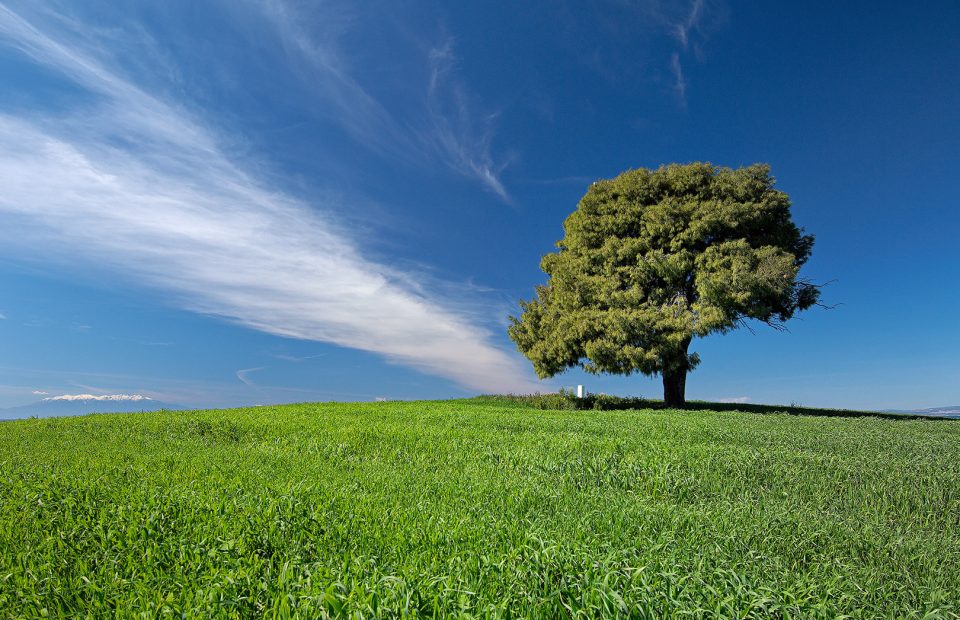 The 4 Seasons Project