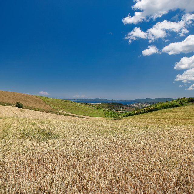 The 4 Seasons Project