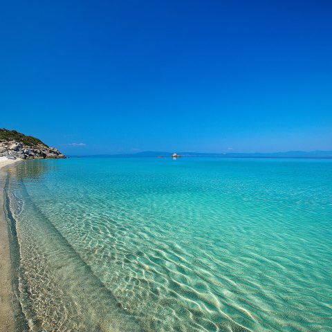 The 4 Seasons Project