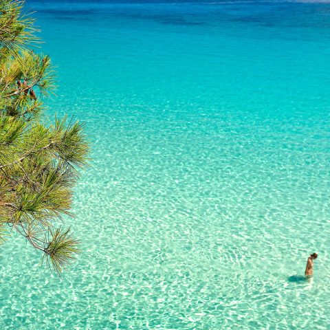 The 4 Seasons Project