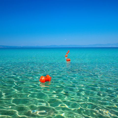 The 4 Seasons Project