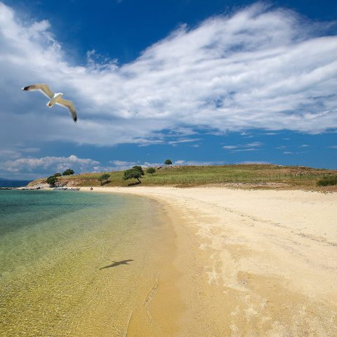 The 4 Seasons Project