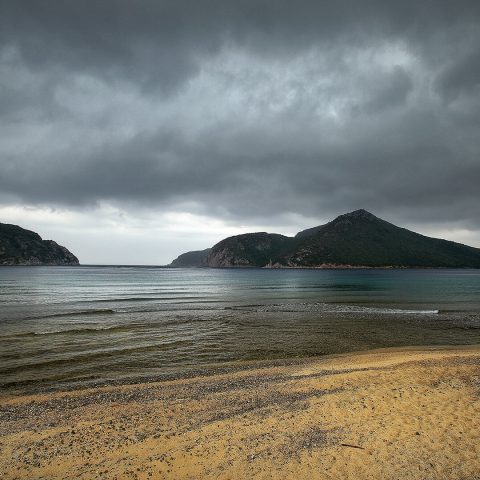 The 4 Seasons Project