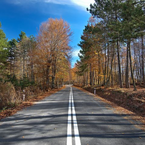 The 4 Seasons Project