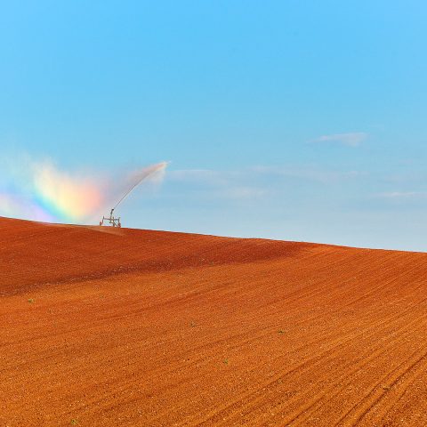 The 4 Seasons Project