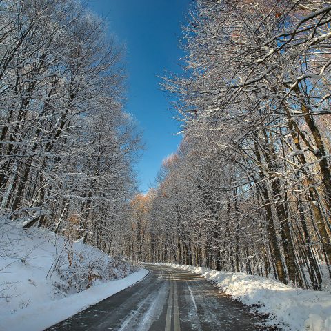 The 4 Seasons Project