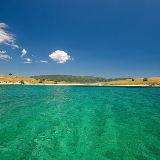 The 4 Seasons Project