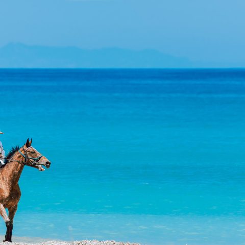 Almyros Resort & Spa