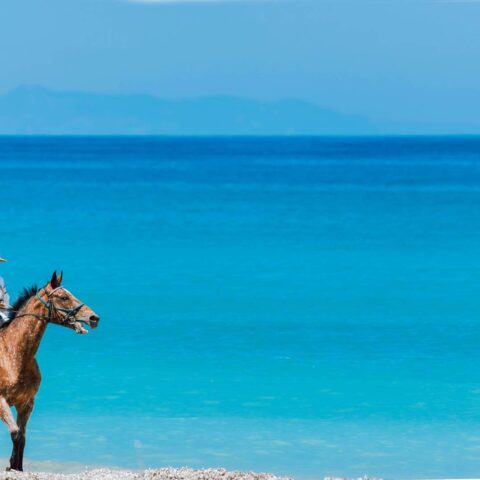 Almyros Resort Hotel